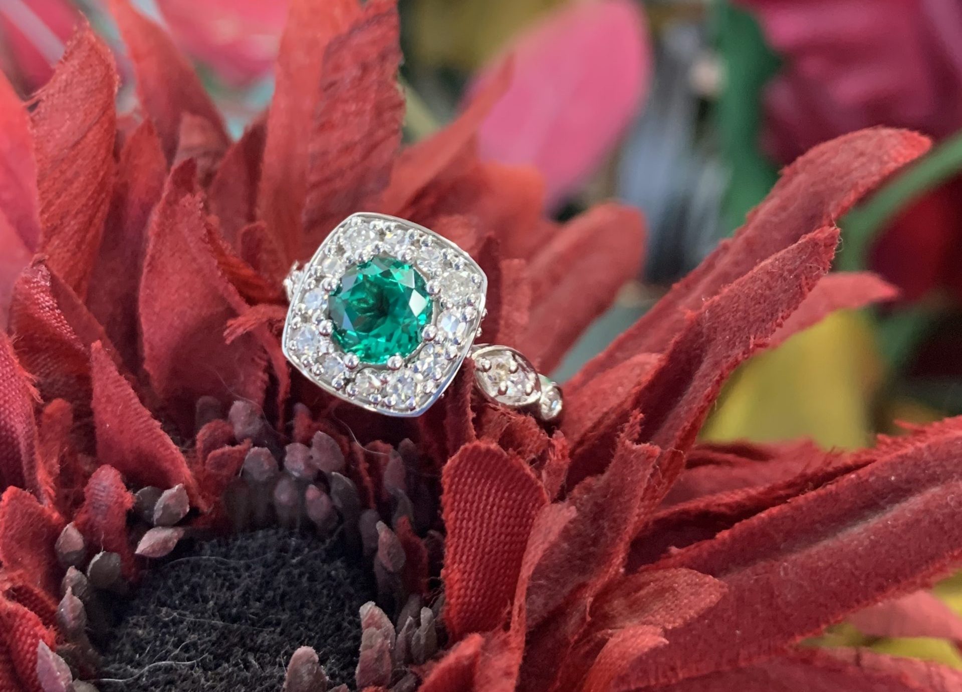 IMG_5764-1-scaled-e1677617846528